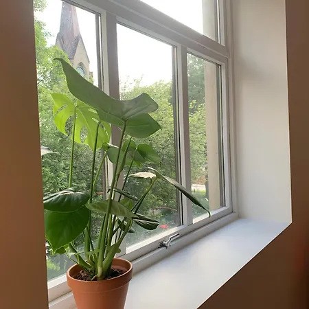 Cozy Scandinavian Design 卑爾根